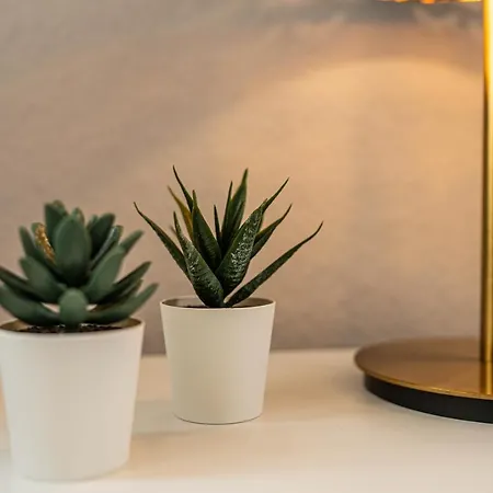 Marvlex #2 - Mit Wifi Und Netflix Celle
